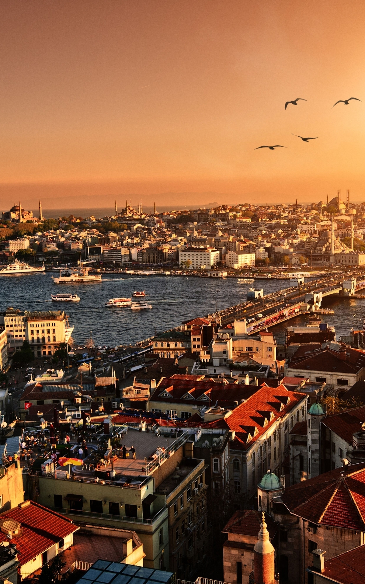 Image: Turkey, Istanbul, landscape, city, river, Galata bridge, evening, sunset, sun, birds, flock