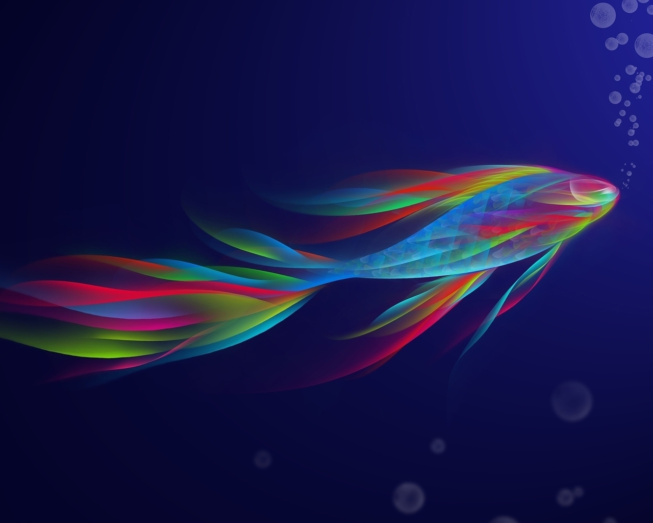 Image: Fish, color, lines, bubbles, water
