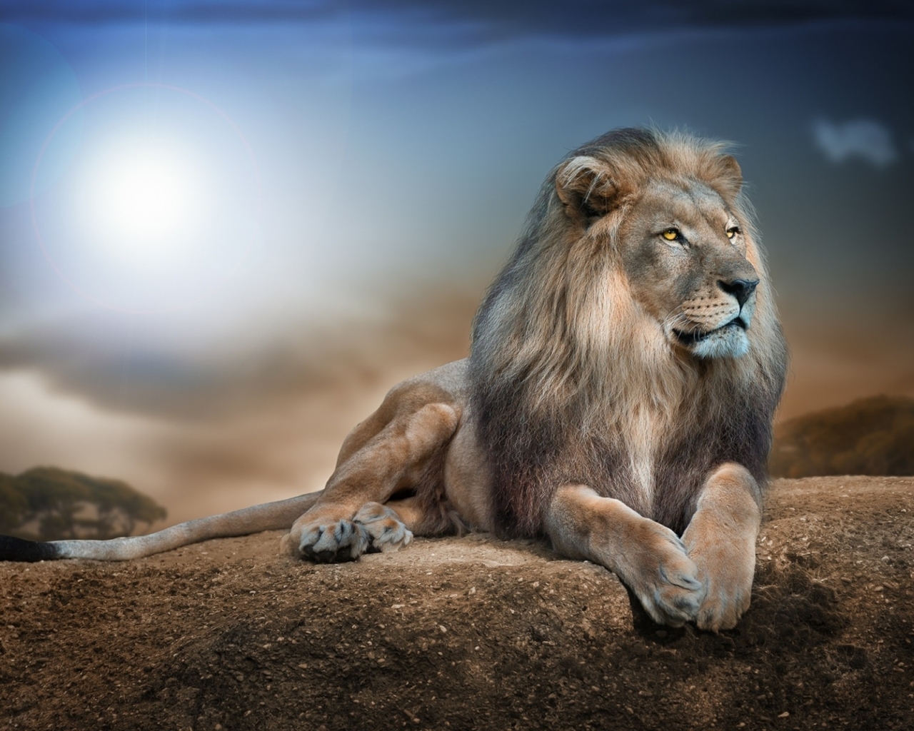 Image: Lion, predator, mane, muzzle, head, eyes, view, feet, tail, lie, hills, sky, lie