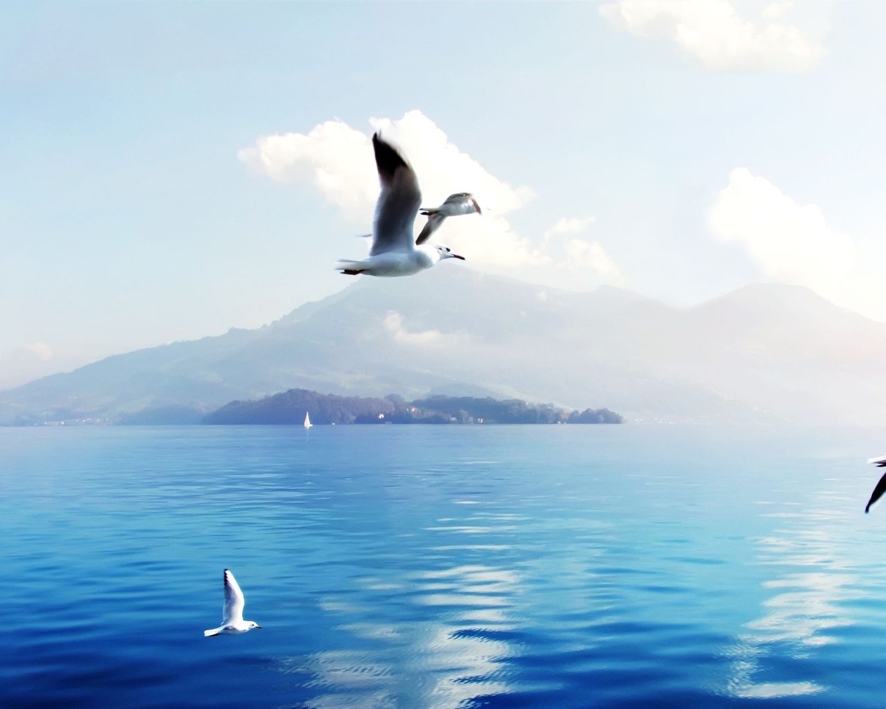 Image: Seagulls, island, fly, sea, water, sky, clouds