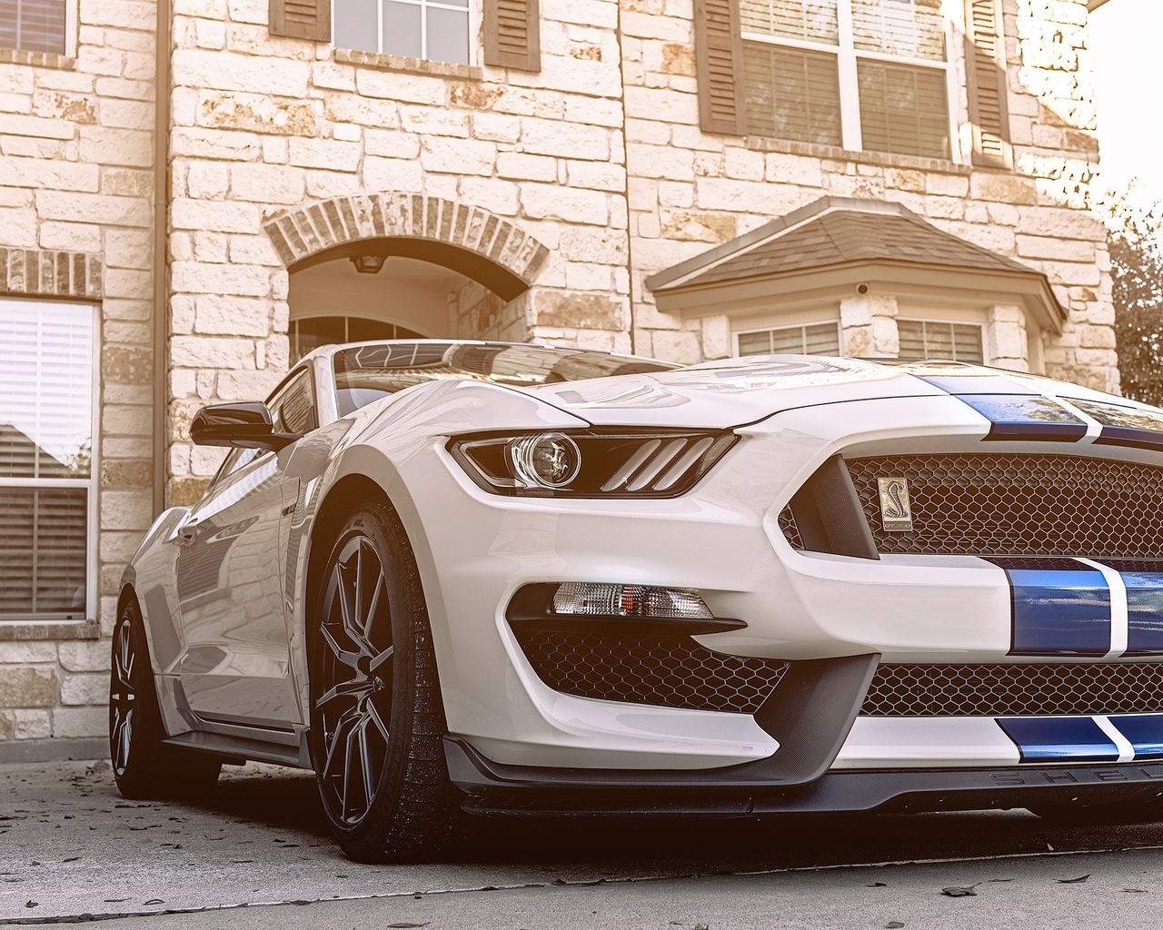 Картинка: Ford, Mustang, Shelby, GT350, белый, White, здание