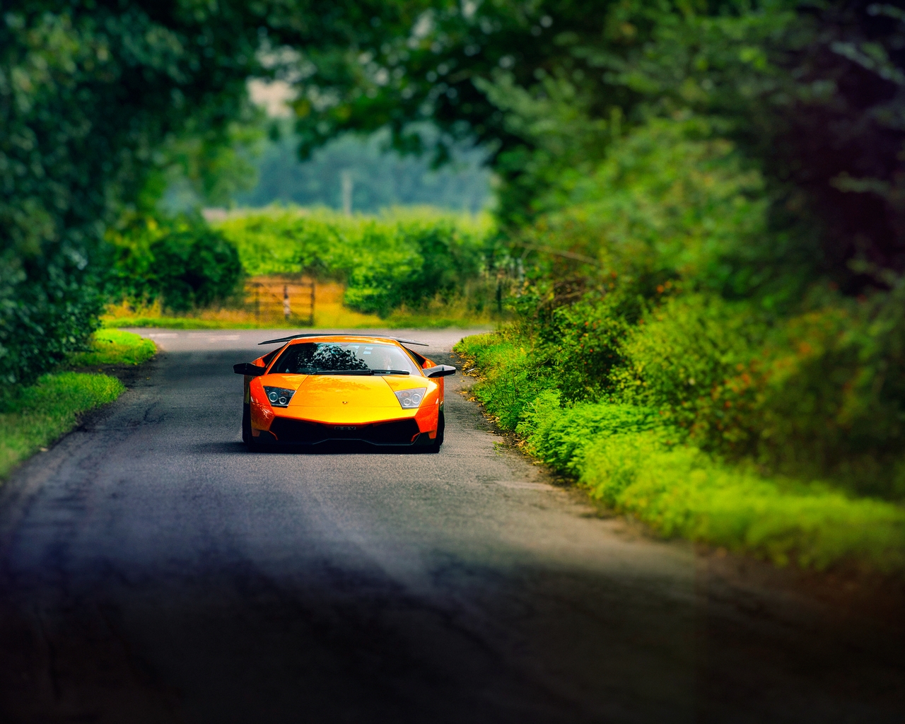 Картинка: Lamborghini, Murcielago, оранжевый, дорога, деревья