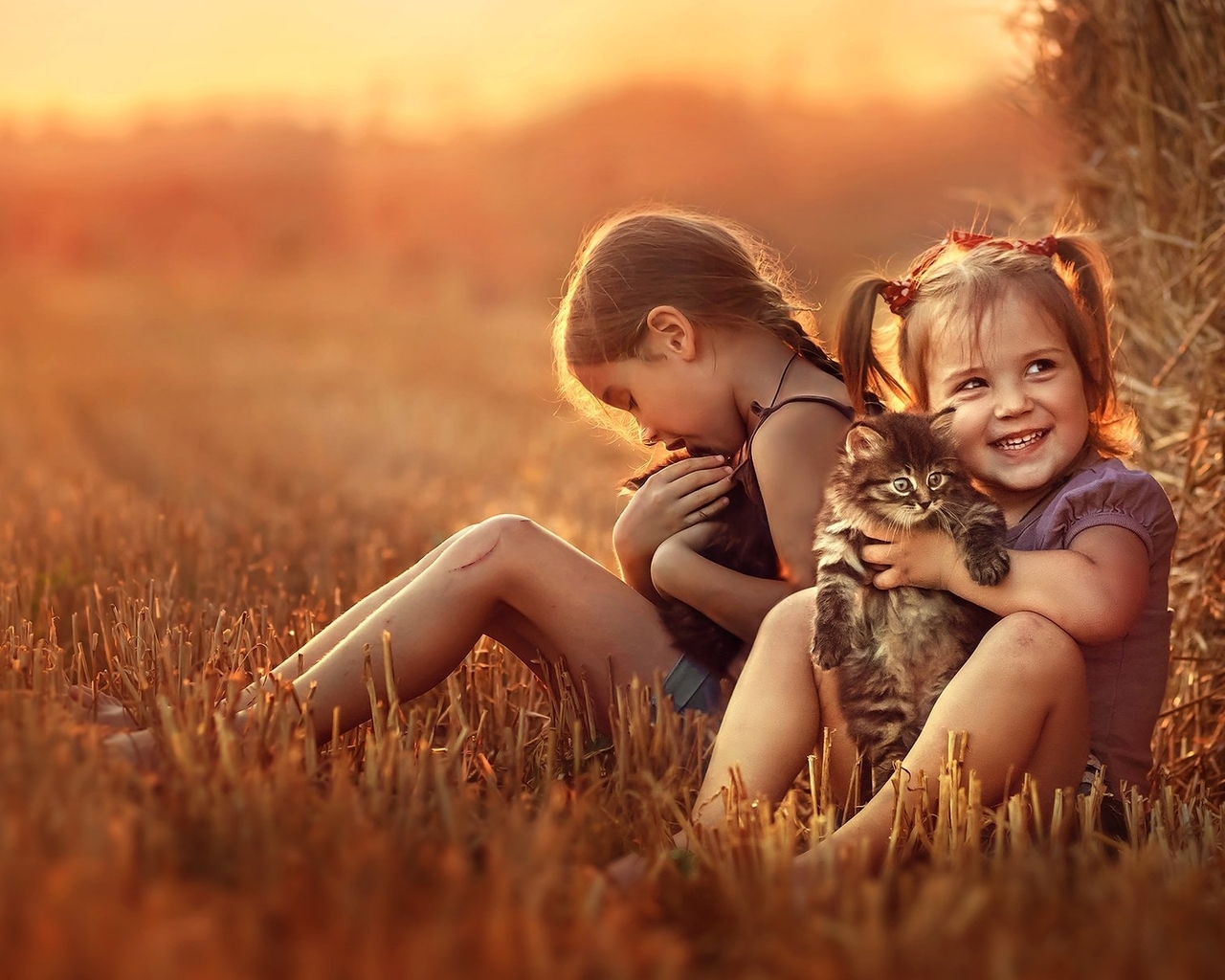Картинка: Девочки, две, сидят, поле, сено, стог, кошки, закат, доброта, улыбка, настроение
