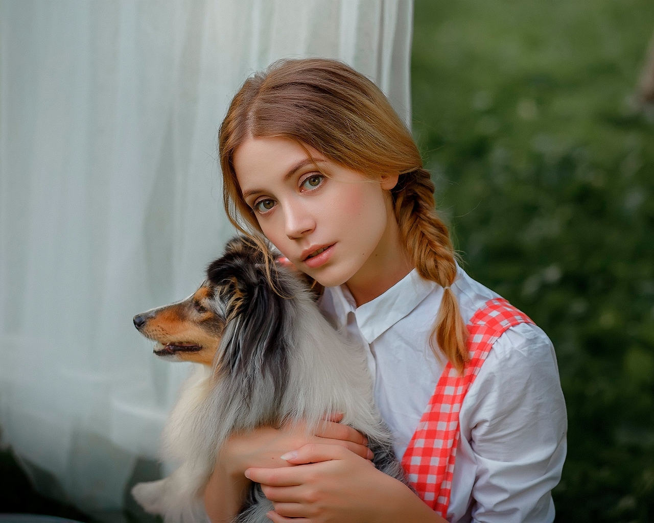 Картинка: Девушка, Ксения Кокорева, собака, колли, модель