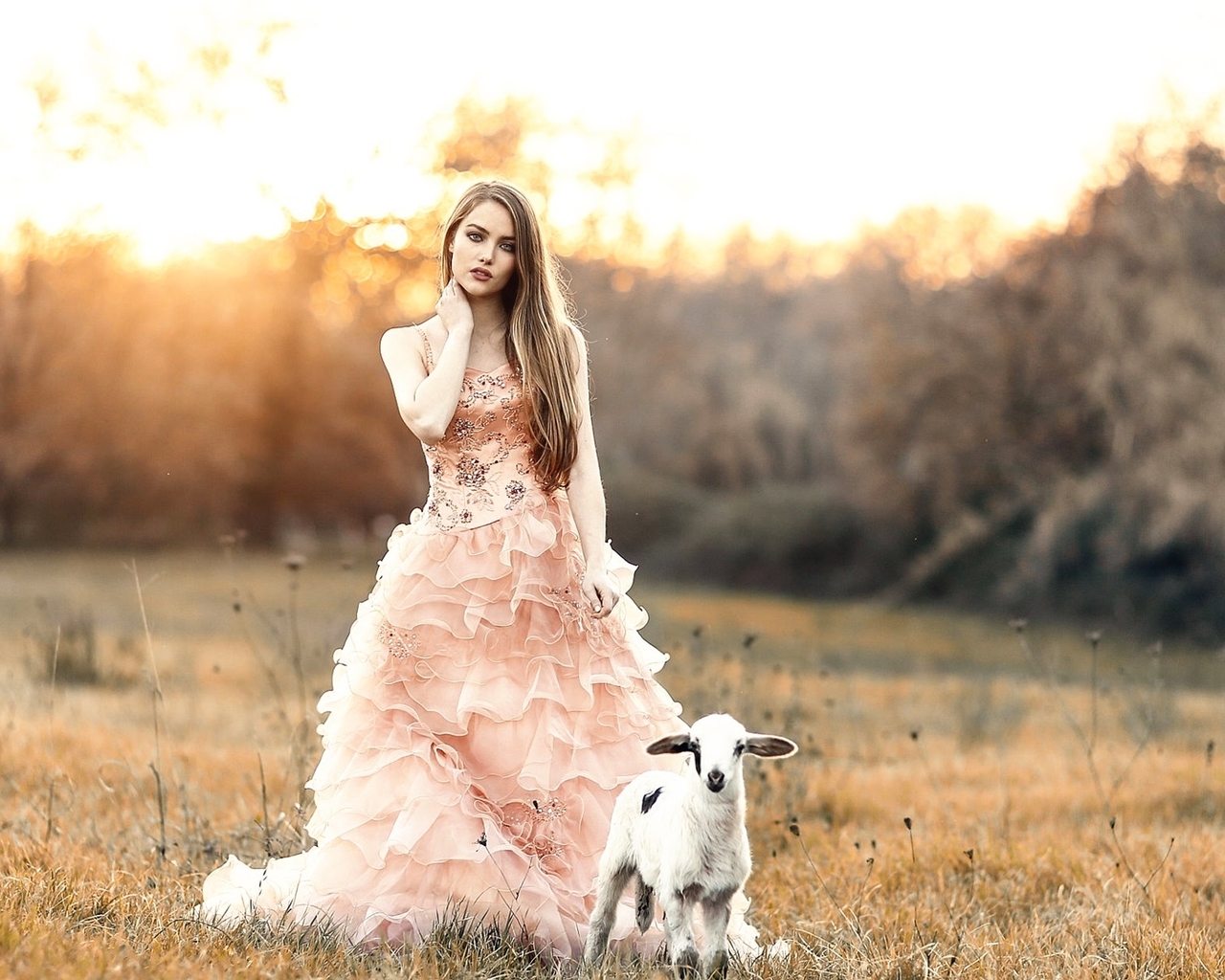 Image: Girl, long hair, dress, goat, field, sunset