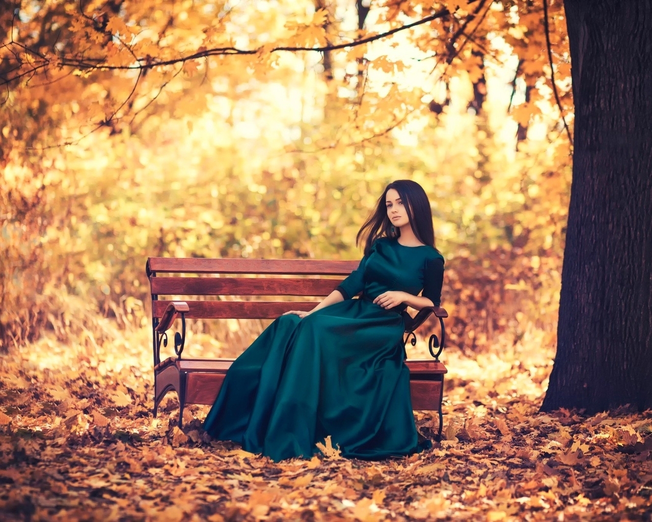 Картинка: Девушка, брюнетка, платье, осень, листья, дерево, парк, скамейка, сидит
