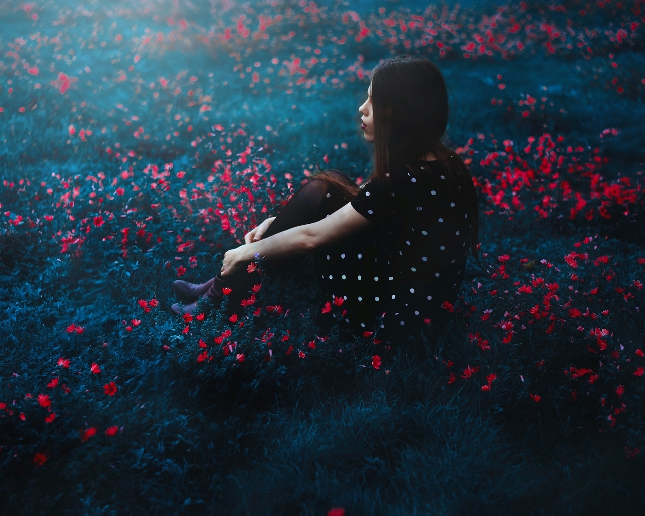 Картинка: Девушка, сидит, красные цветочки, поляна, трава, настроение