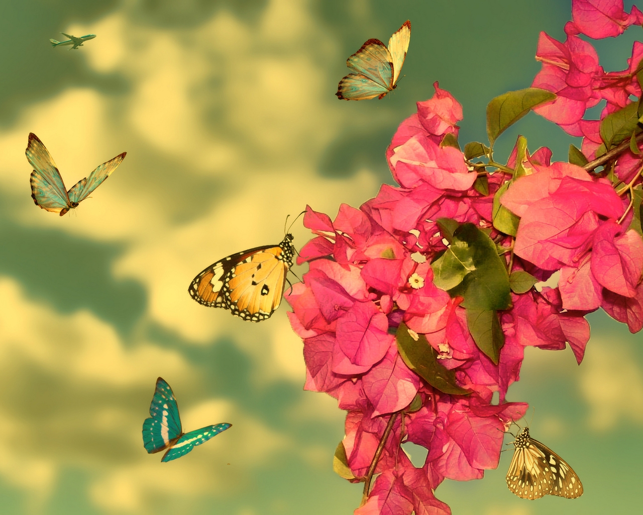 Картинка: Бабочки, цветы, листья, ветка, небо, облака, самолёт