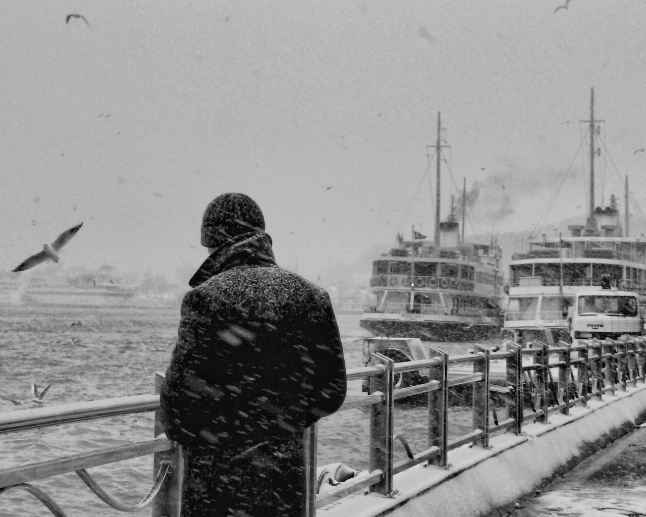 Image: Guy, man, sea, snow, winter, seagull, motor ship, ferry, port, black and white, sadness