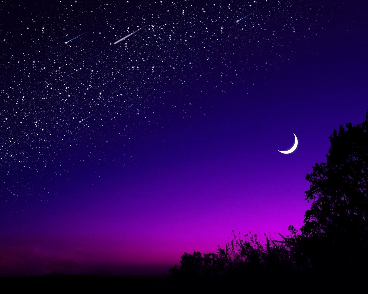 Картинка: Ночь, звёзды, луна, месяц, свет, закат, силуэт, дерево, горизонт, небо