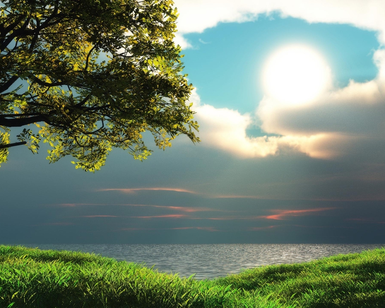 Картинка: Дерево, природа, трава, берег, озеро, небо, облака, закат, солнце