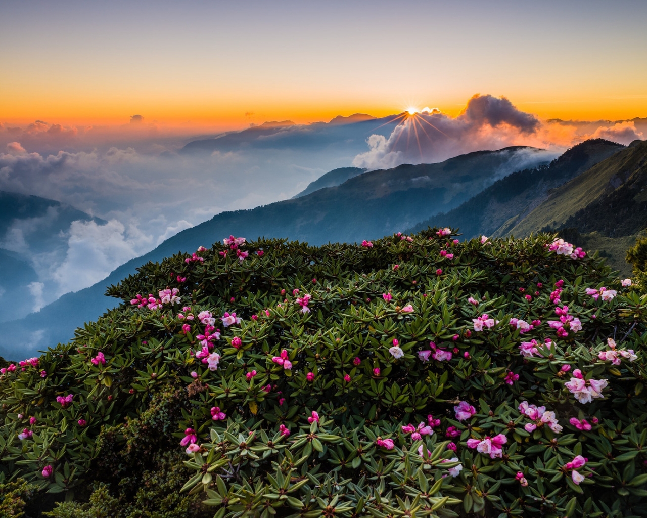 Image: Slope, sky, hill, mountains, flowers, greens, clouds, sunset
