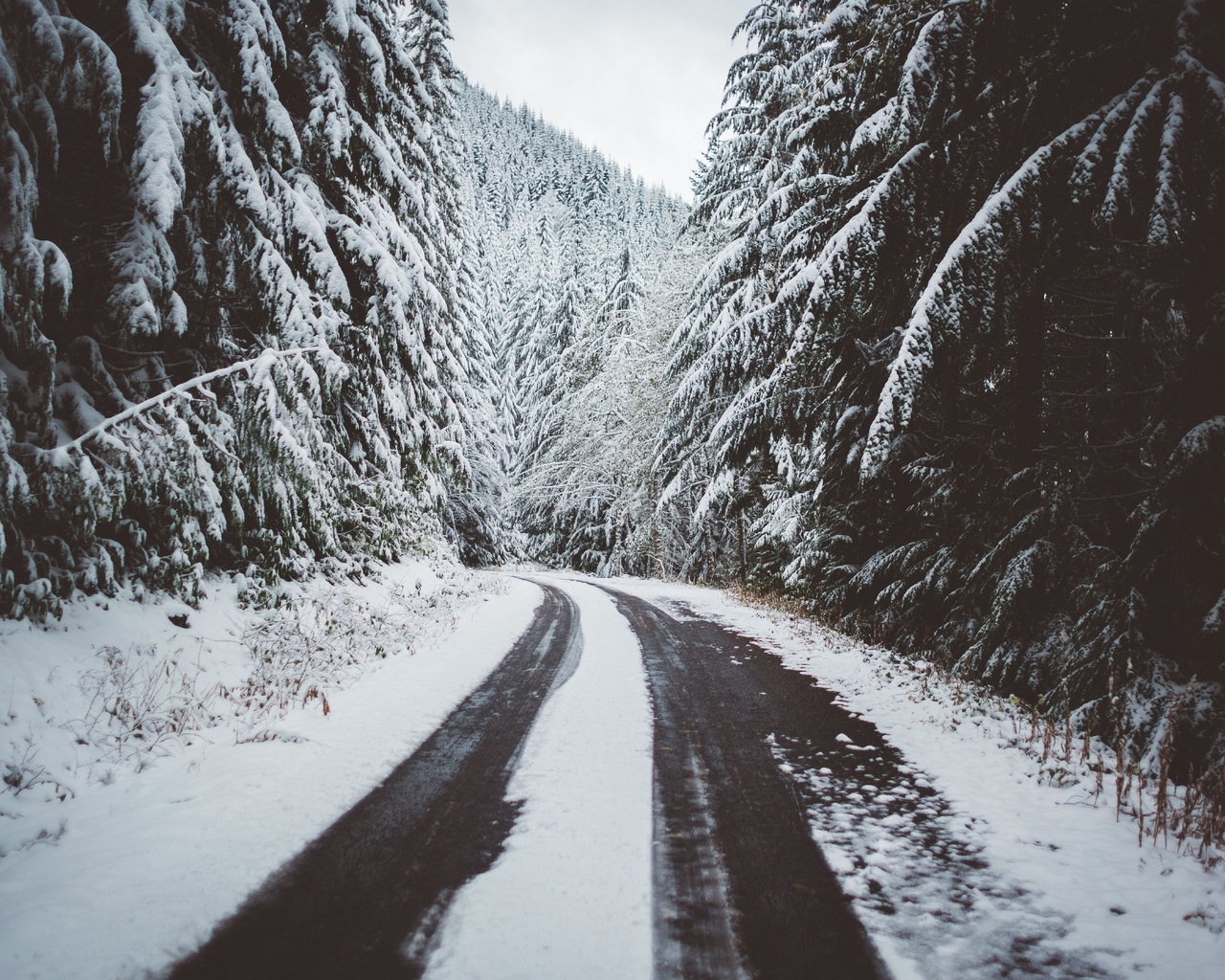 Image: Winter, forest, road, footprints, snow, landscape, nature, trees
