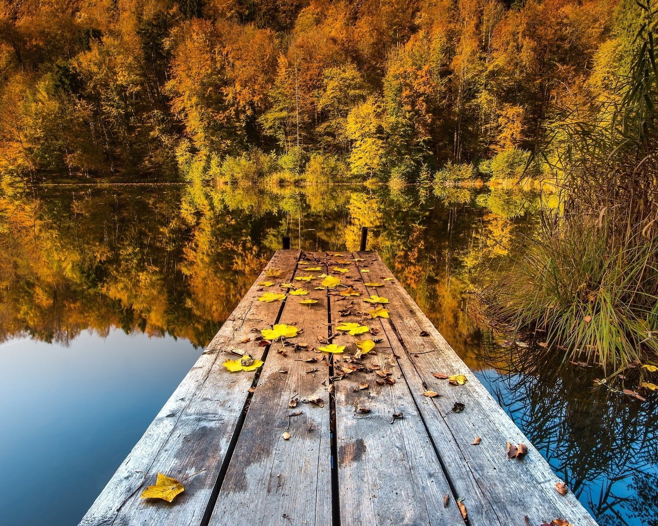 Картинка: Осень, речка, река, вода, отражение, мостик, листья, деревья
