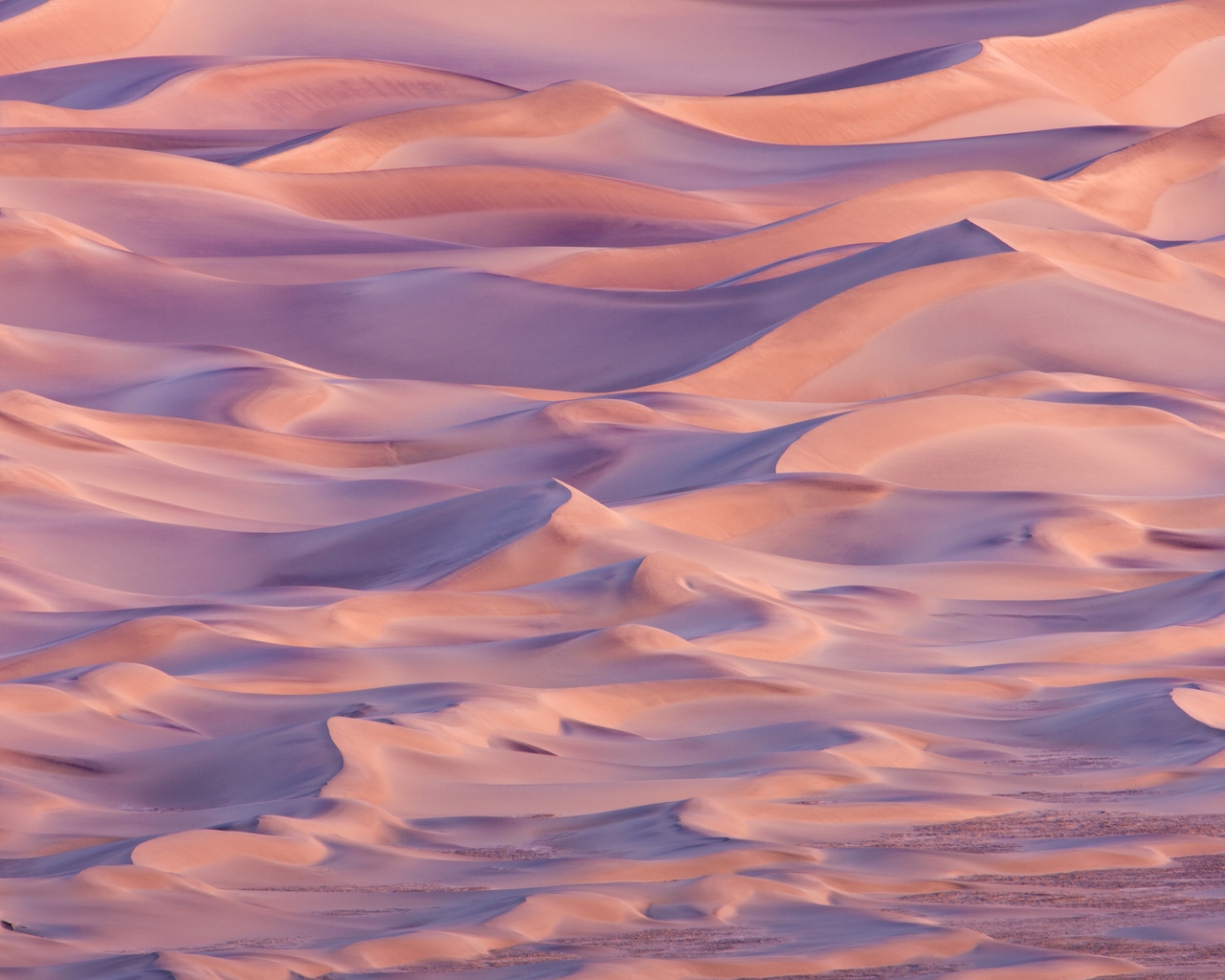 Image: Desert, dunes, sand