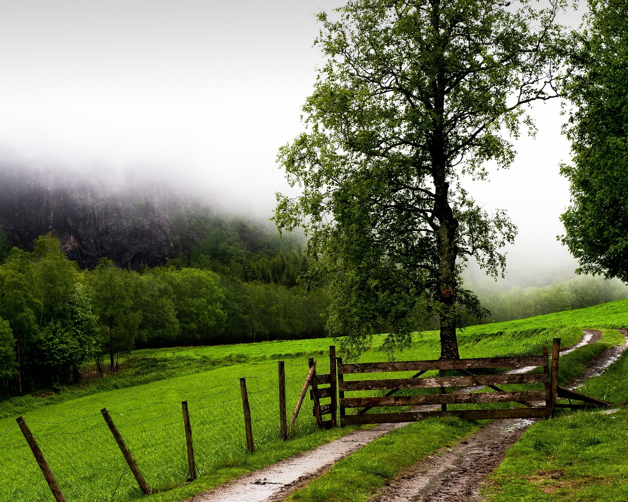 Картинка: Пейзаж, дорога, забор, ворота, поле, деревья, горы, туман, зелень