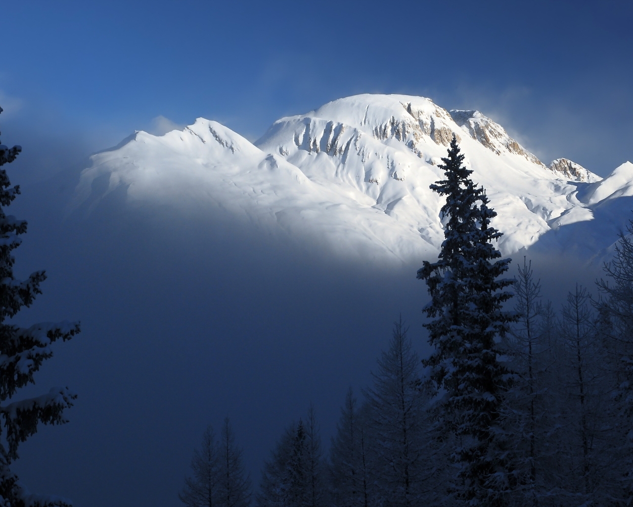 Image: Landscape, mountains, snow, fog, lighting, conifers