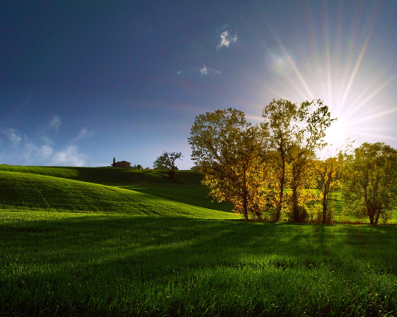 Картинка: Деревья, трава, поле, солнце, лучи, небо, тень