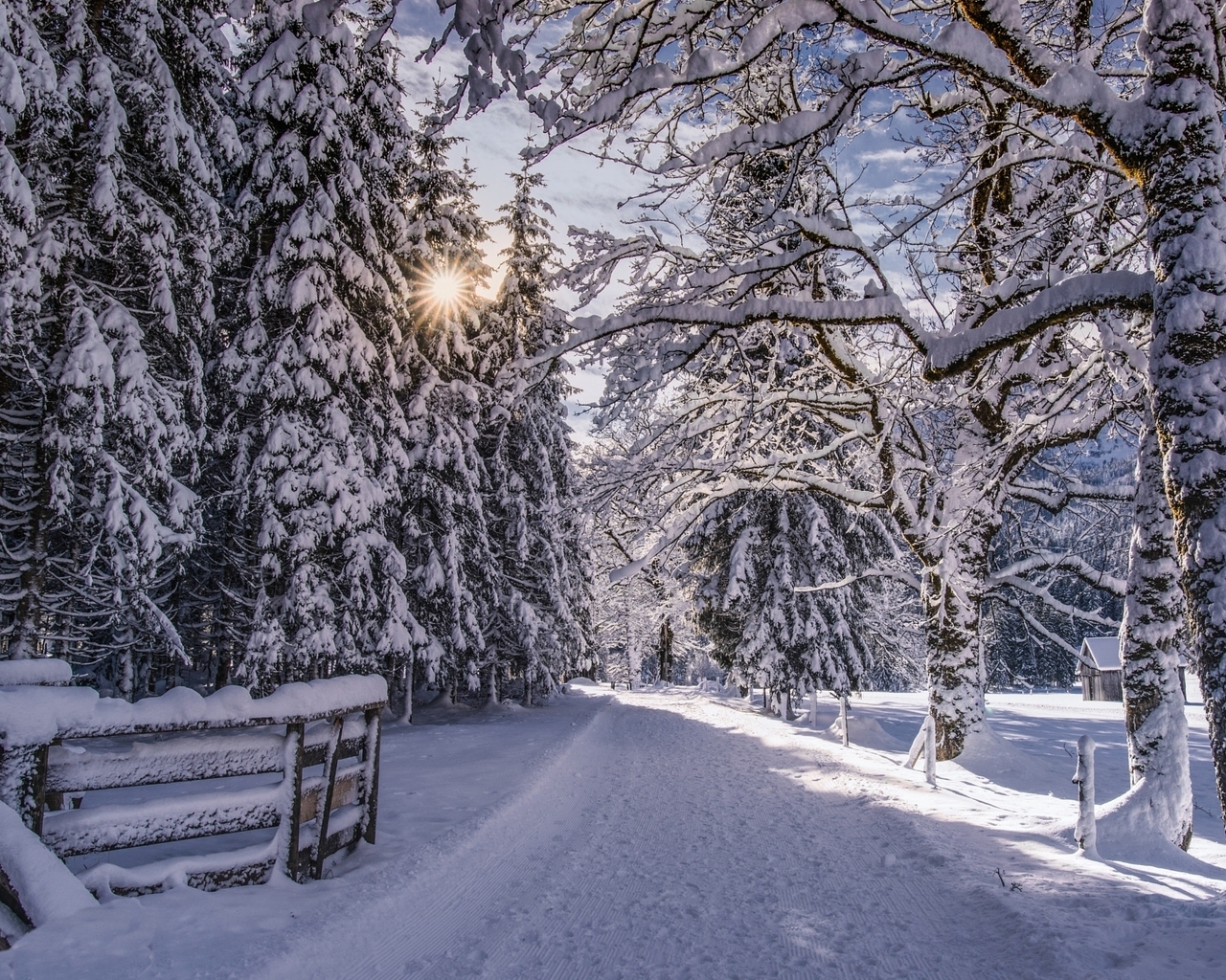 Image: winter, road, snow, forest, trees, landscape