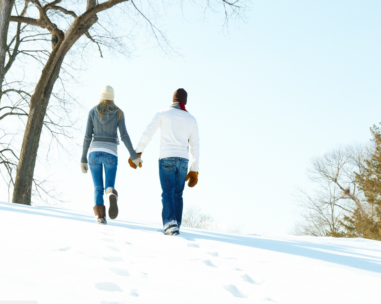 Image: Pair, guy, girl, walk, back, coming, hands, hat, winter, snow, trees
