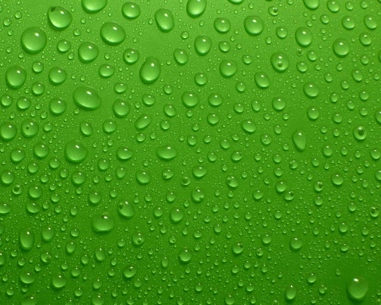 Картинка: Капли, вода, фон, зелёный