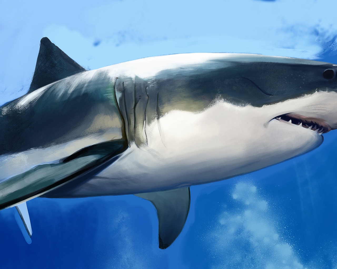 Картинка: Тёмная акула, рыба, хищник, брюхо, плавники, зубы