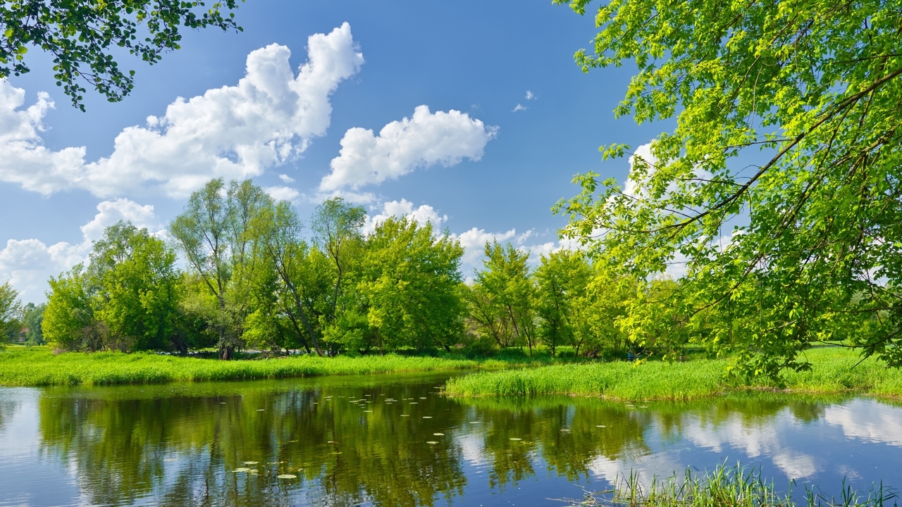 Картинка: Река, лето, пейзаж, вода, отражение, деревья, облака