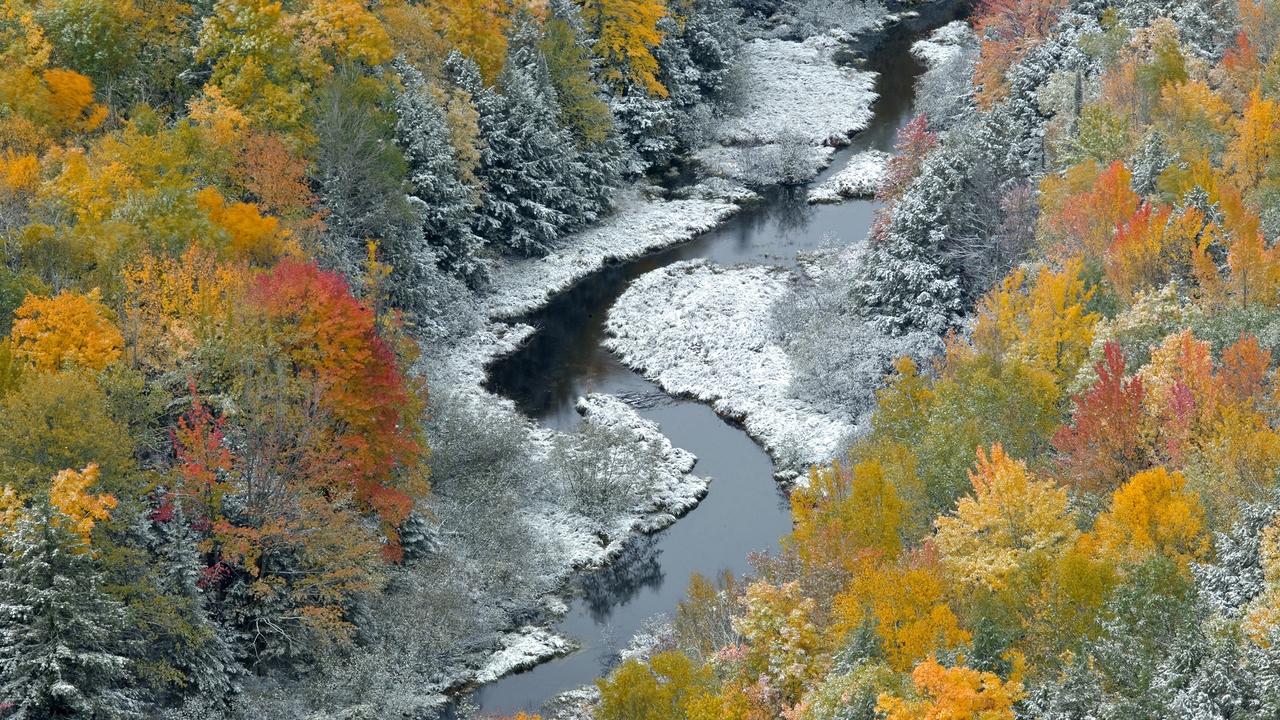 Image: Fall, winter, foliage, river, water