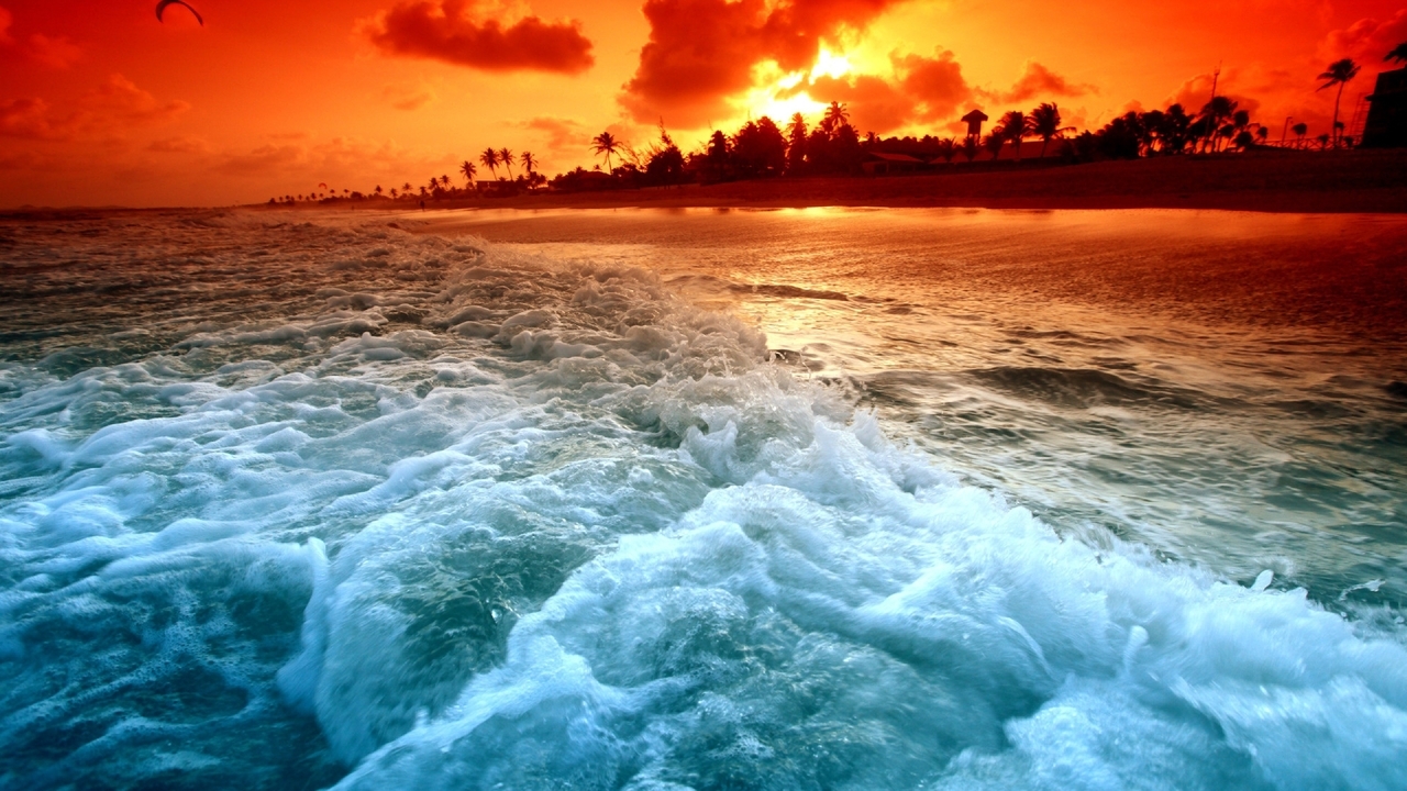 Картинка: Остров, пальмы, вода, пена, закат