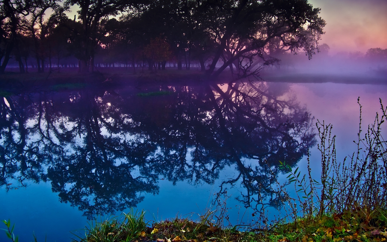 Картинка: Лес, туман, вечер, вода, озеро, отражение, небо