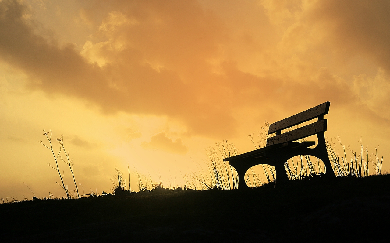 Image: bench, grass, sky