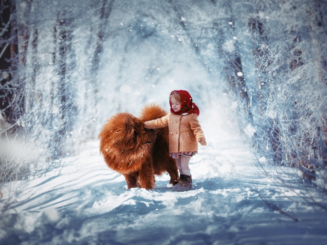 Image: Girl, dog, Tibetan Mastiff, road, forest, winter, snow