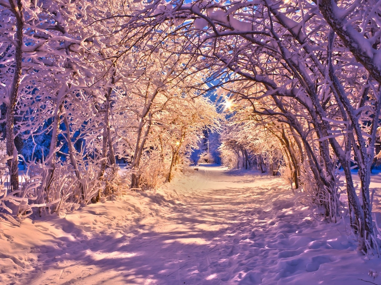 Картинка: Зима, снег, лес, тень, дорожка, вечер