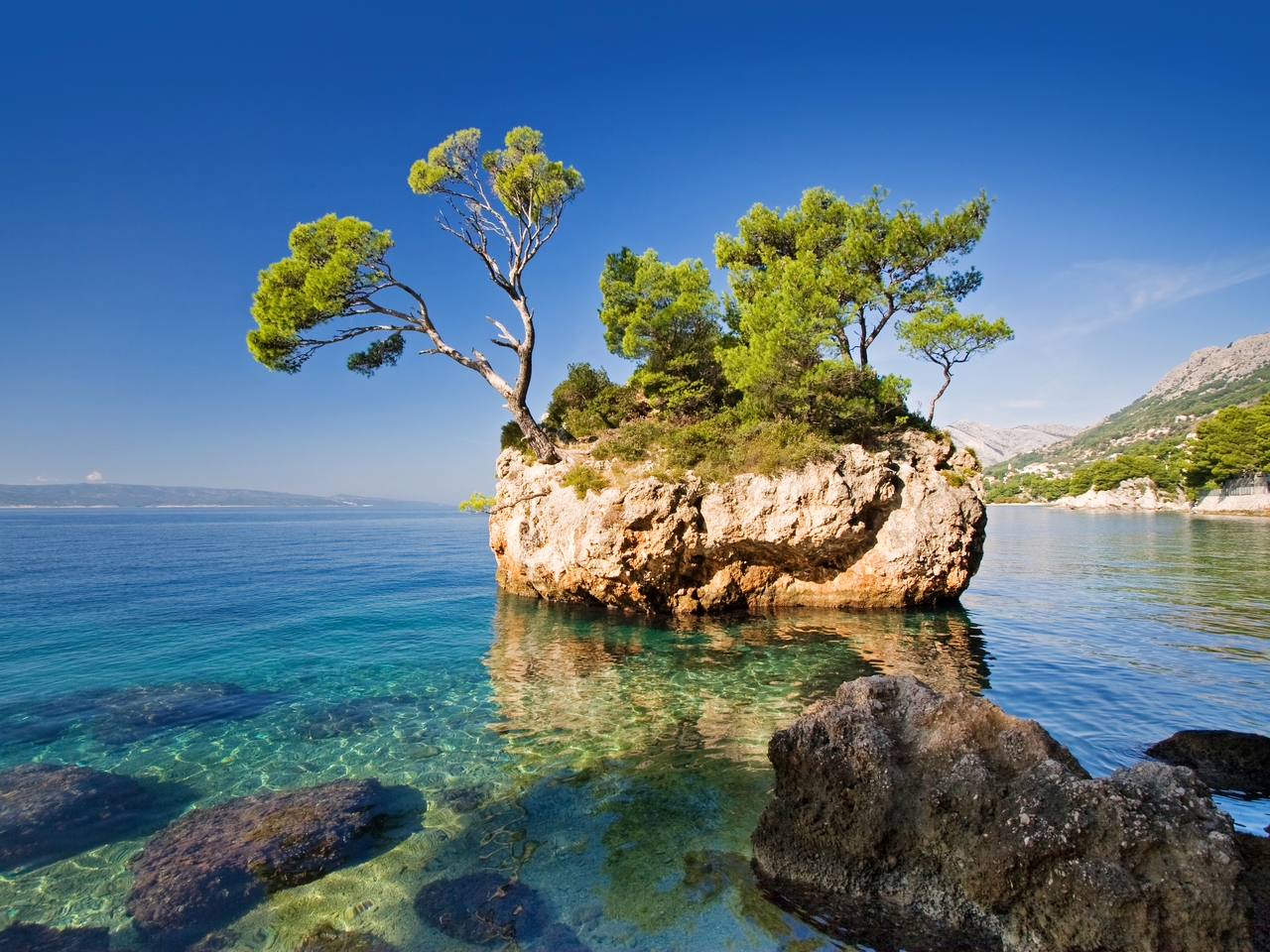 Картинка: Скала, деревья, море, вода, камни, небо