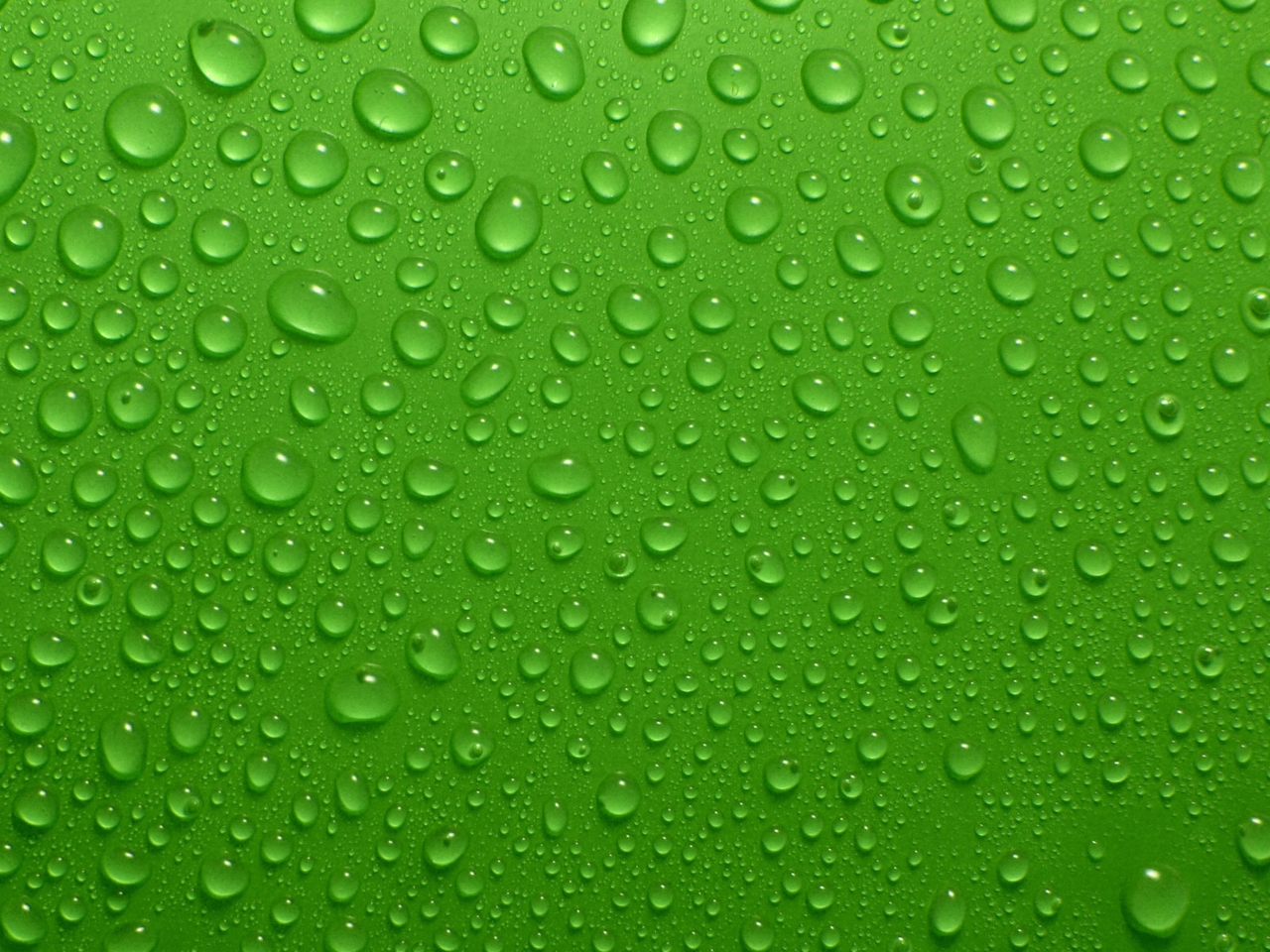 Image: Drops, water, background, green