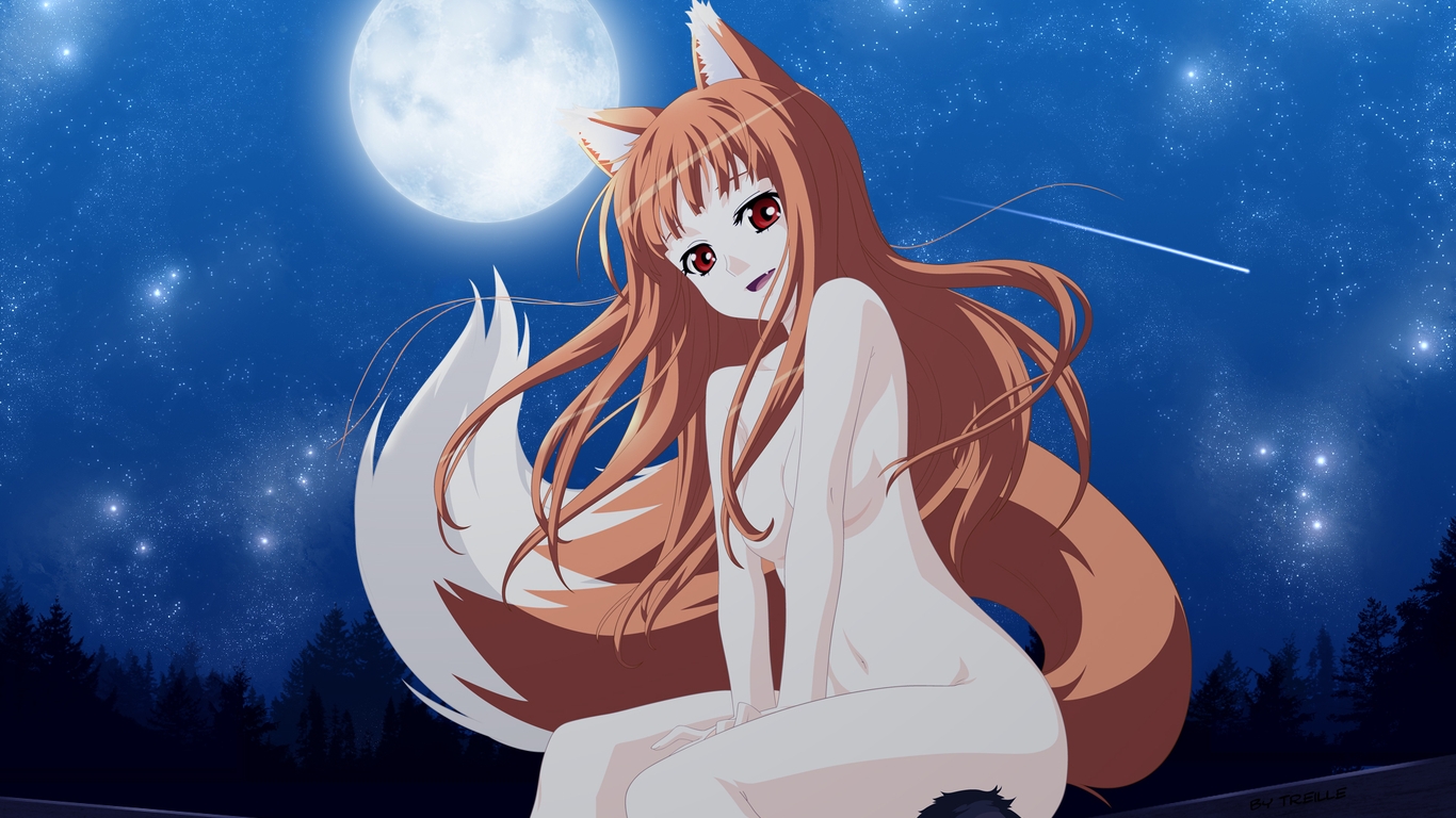 Картинка: Волчица, хвост, уши, девушка, волосы, луна, небо, звёзды