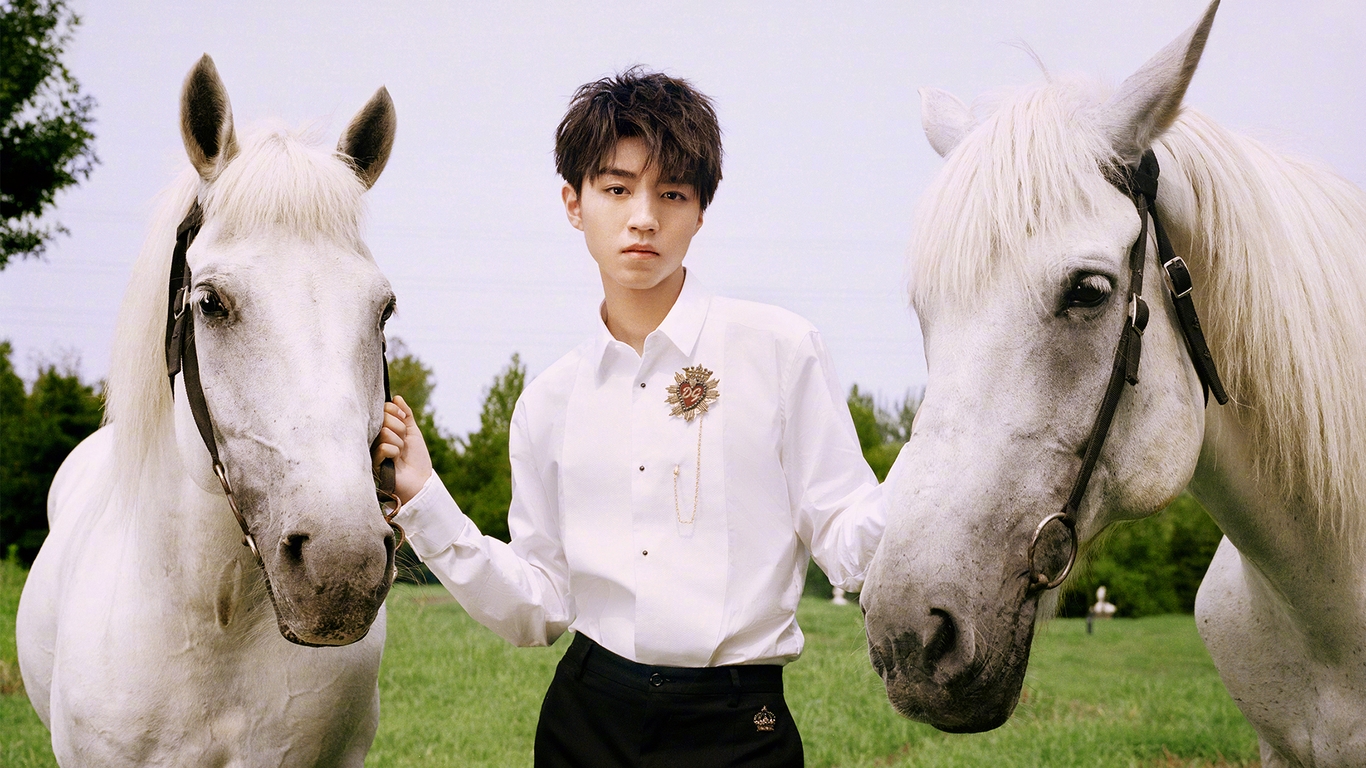 Image: Man, horse, white, posing, nature