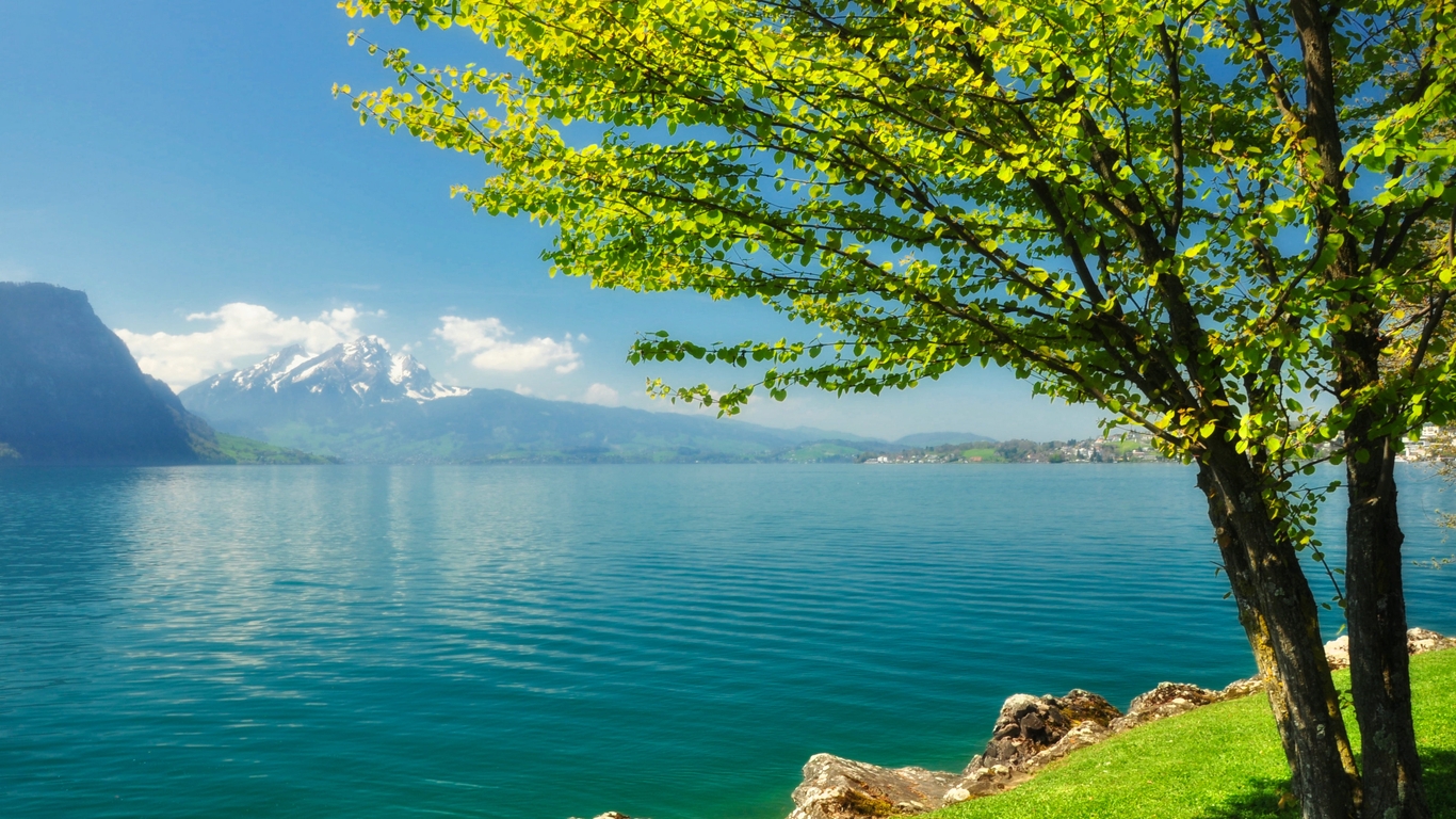 Image: Tree, foliage, blue lake, water, mountains, stones, sky, clouds