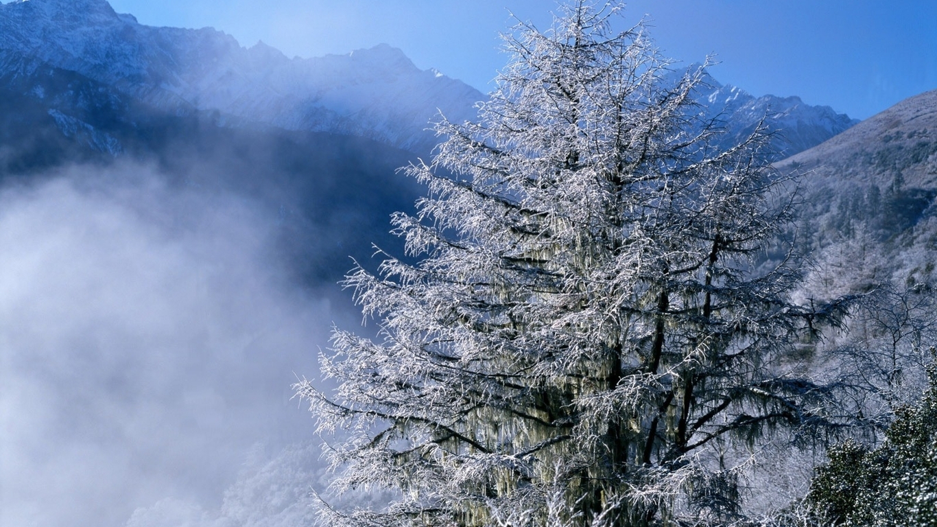 Картинка: Дерево, зима, снег, иней, горы, небо