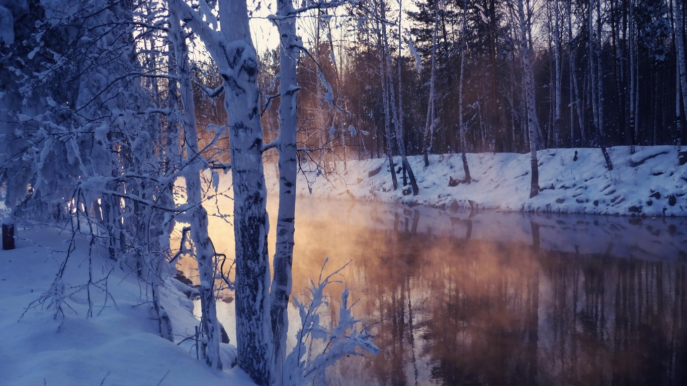 Image: Winter, cold, trees, snow, lake, reflection