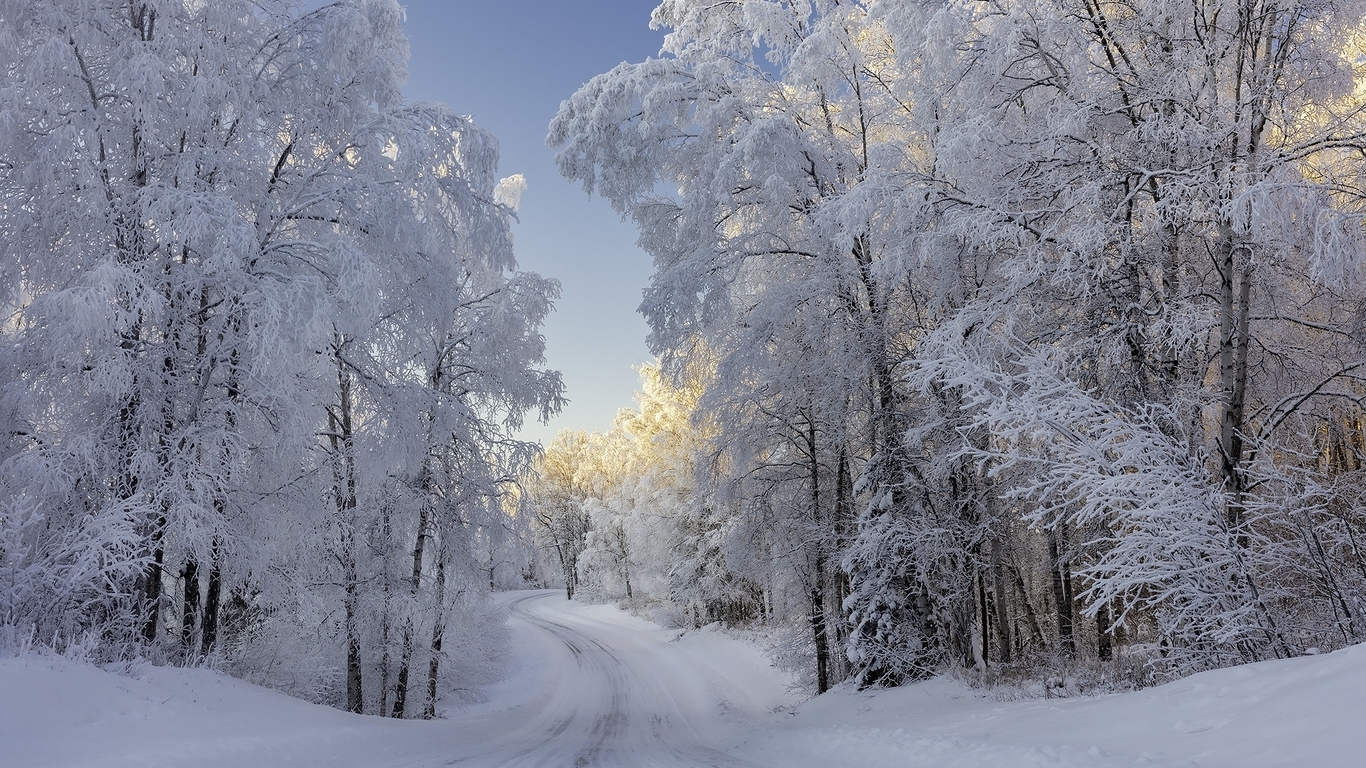 Image: winter, road, forest, trees, snow, landscape
