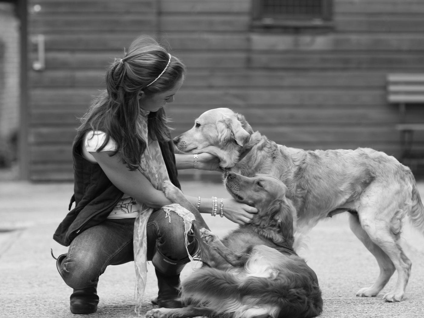 Image: dog, friendship, girl