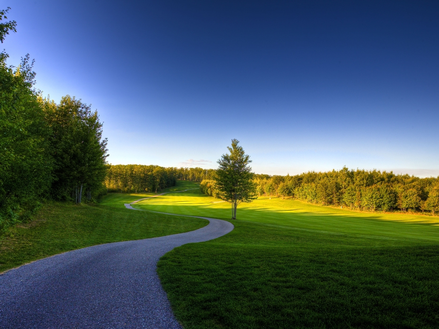 Image: Road, field, trees, summer, sky, shadow
