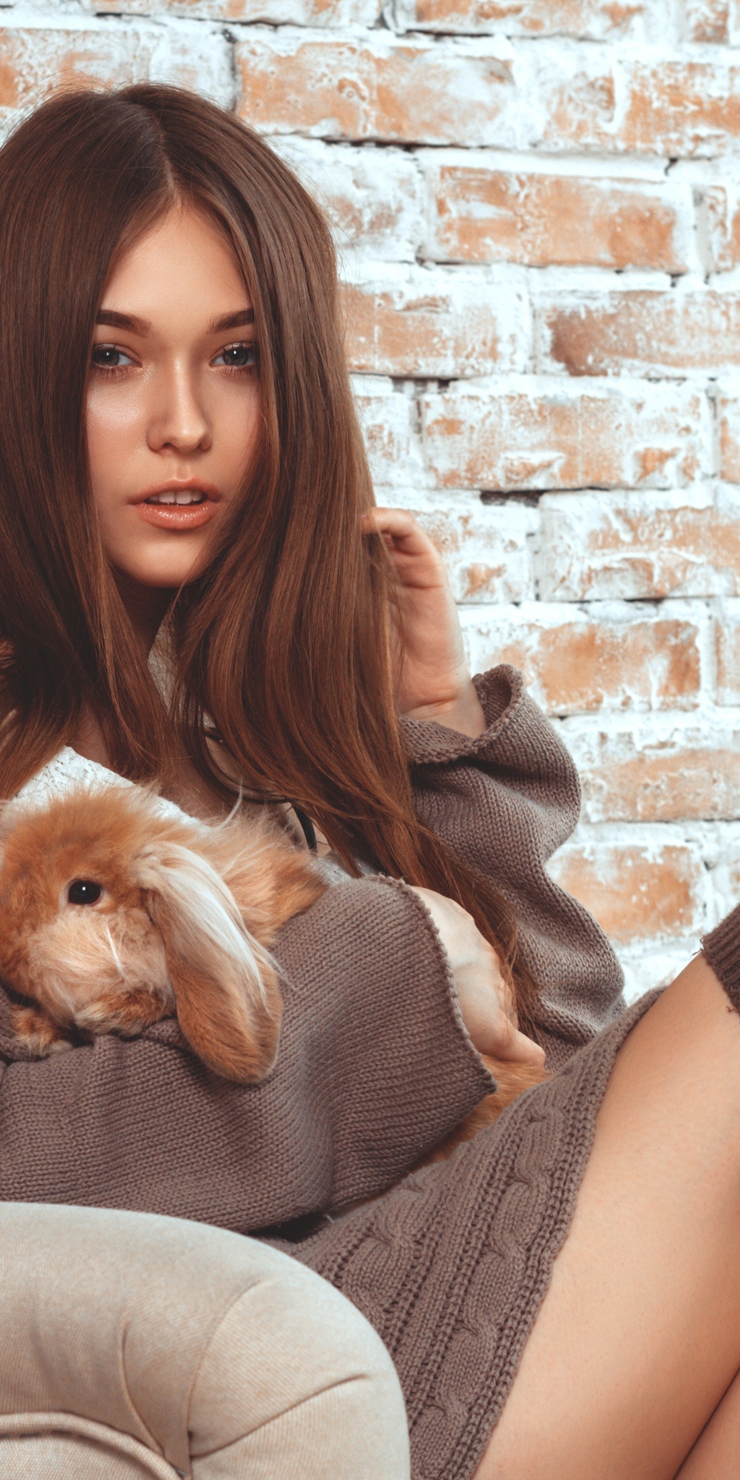 Image: Brunette, girl, long hair, rabbit, sitting, armchair, brick wall