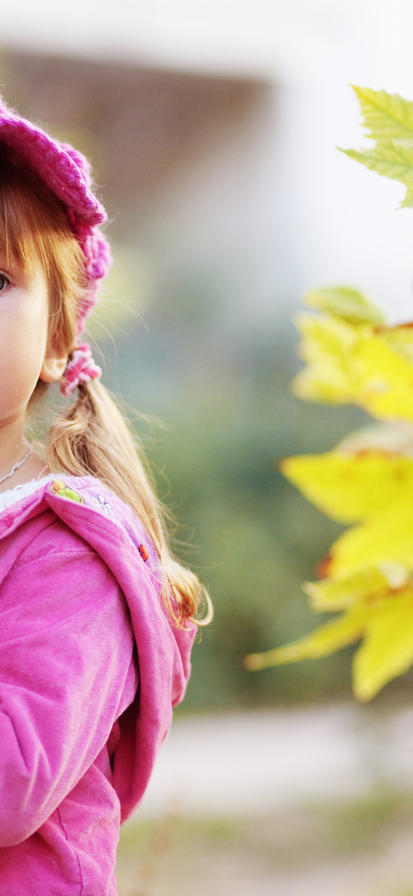 Картинка: Девочка, ребёнок, кепка, розовая, куртка, цвет, природа, осень, листья, взгляд