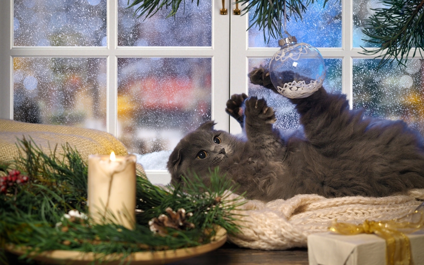 Image: Cat, toy, decoration, game, tree, window, gift