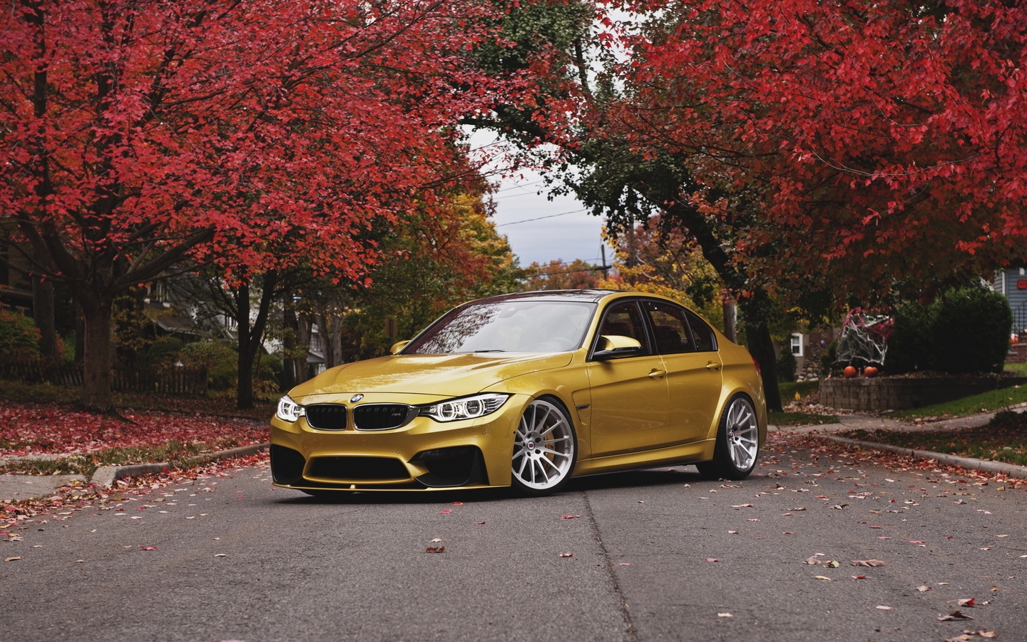 Картинка: BMW, золотистый, M3, F80, Gold, дорога, деревья, осень