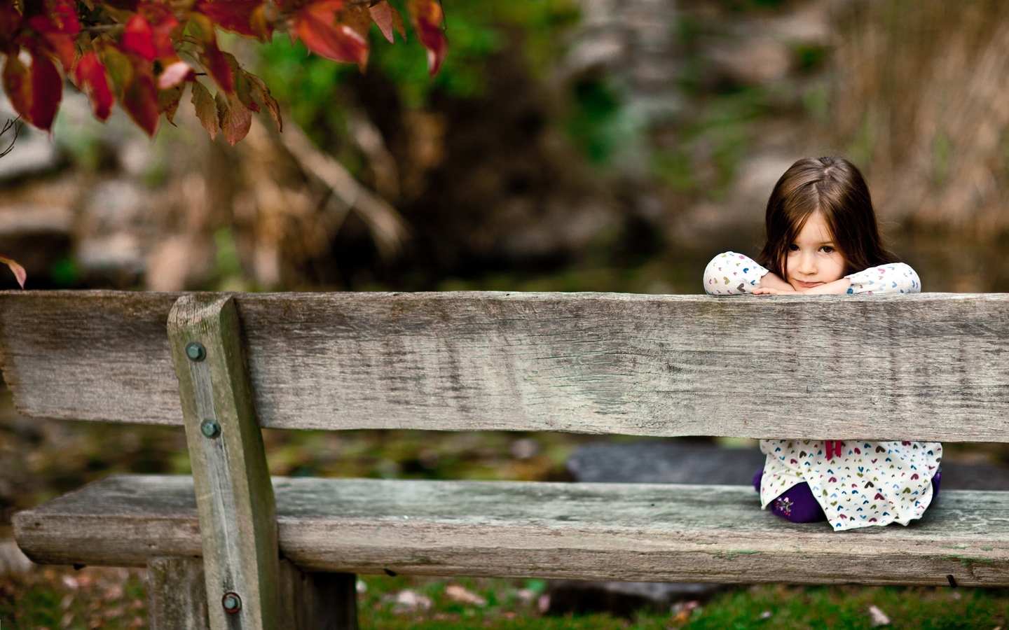 Картинка: Девочка, скамейка, сидит, смотрит, осень