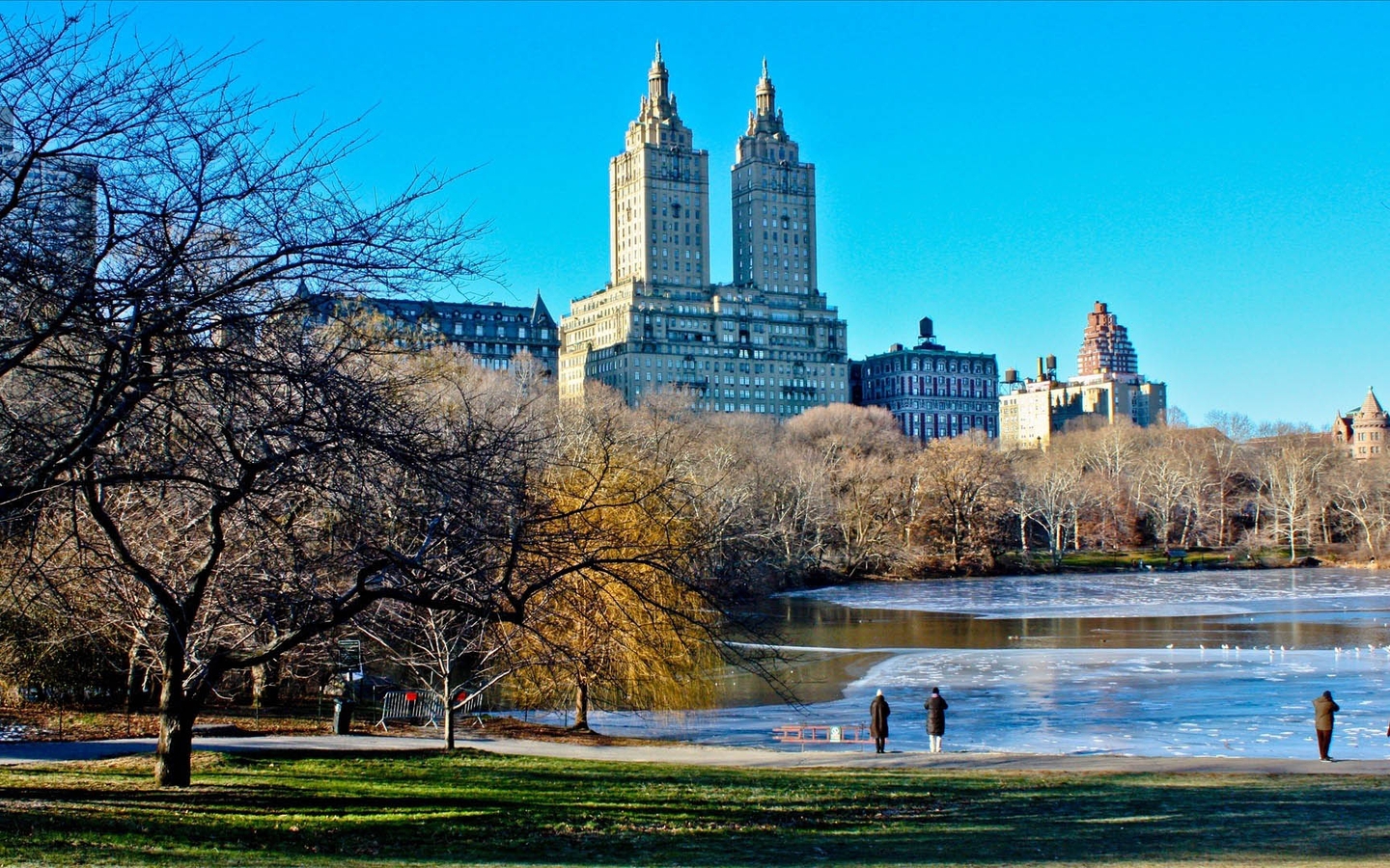 Картинка: Парк, здания, Нью-Йорк, деревья, ветки, озеро, небо, люди