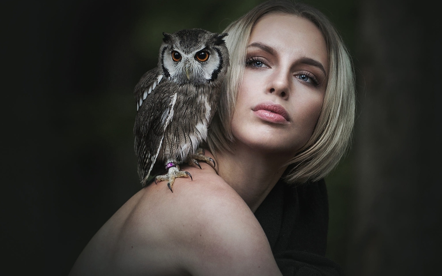 Image: Girl, blonde, face, shoulders, owl, sitting
